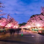 Suasana damai di Ueno Park, dengan pepohonan rindang dan danau yang tenang, menciptakan tempat yang sempurna untuk bersantai dan menikmati alam