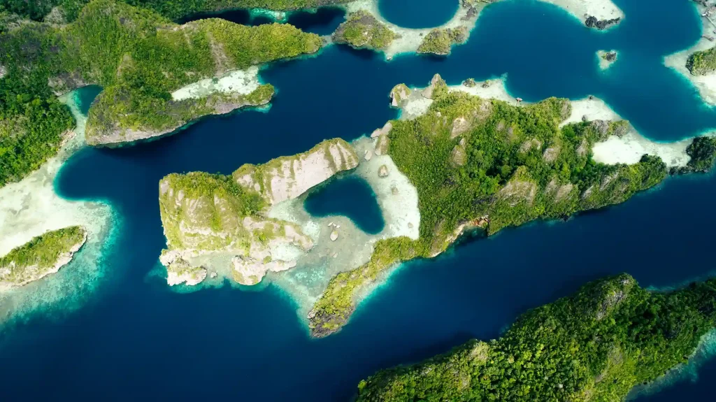 Keindahan Pulau Misool: Surga bawah laut dengan pemandangan karang yang memukau