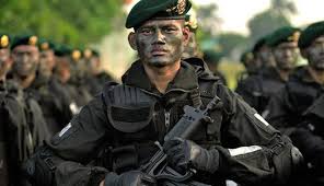 Tentara Elit Indonesia